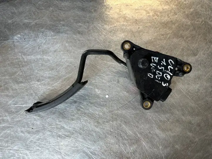 Renault Modus (2007 - 2012) 8200139319 Педаль акселератора — фото 4
