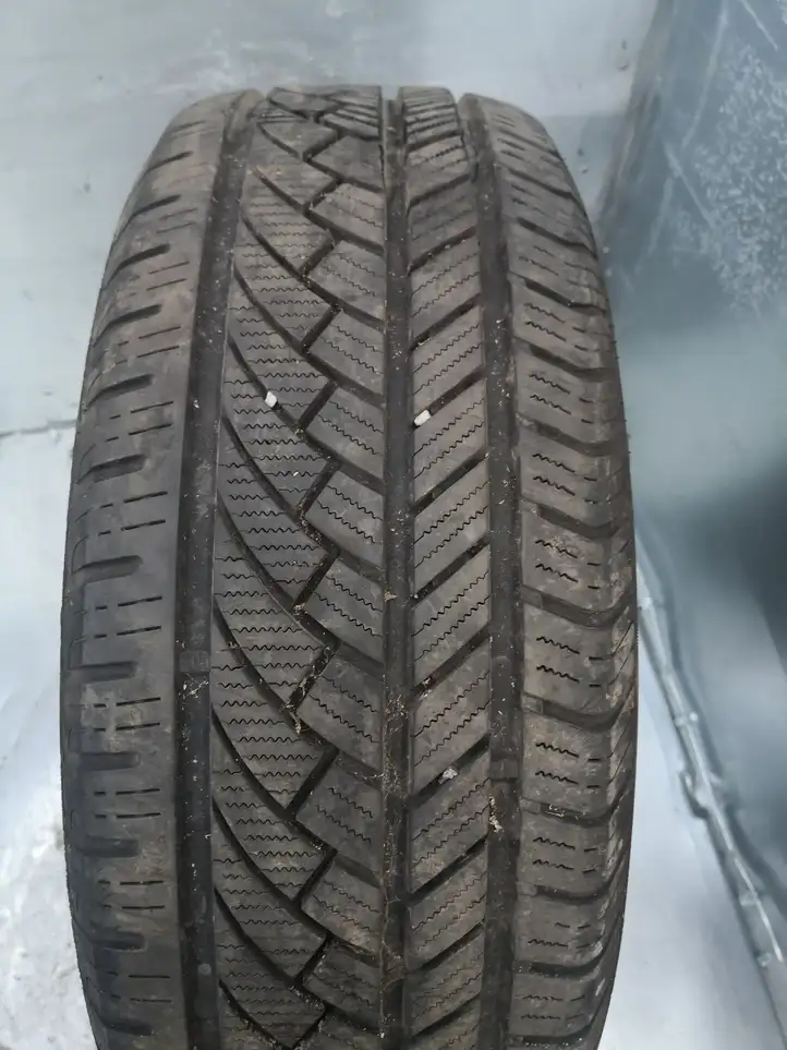 Peugeot Expert (2007 - 2016) 21560R16C Летняя шина R12 — фото 4