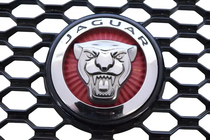 Jaguar F-Type (2013 - ) BHK838B271AA Передняя решетка — фото 13