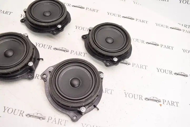 BMW X1 F48 F49 (2015 - 2022) 8715686 Динамики задних дверей — фото 7