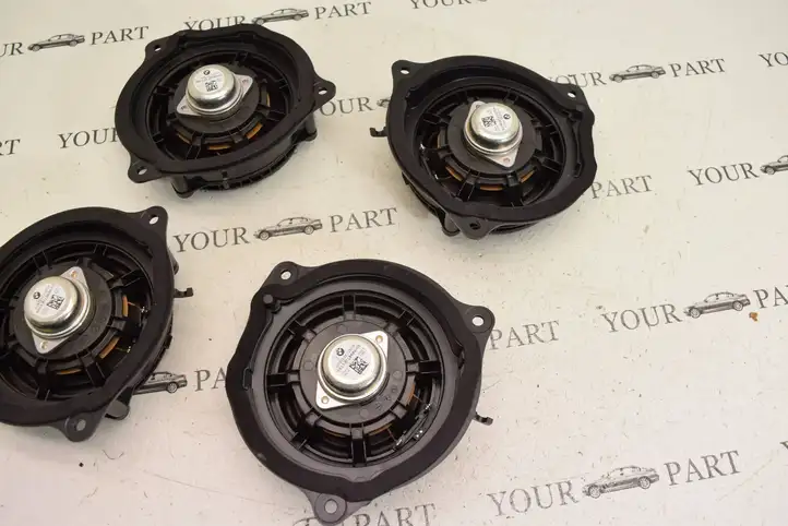 BMW X1 F48 F49 (2015 - 2022) 8715686 Динамики задних дверей — фото 10