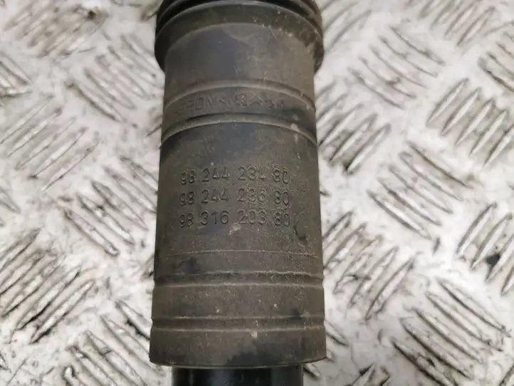 Opel Mokka B (2020 - )  98426920800 Задний амортизатор с пружиной