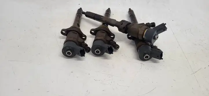 Ford Focus C-MAX (2003 - 2010) B445117859 Комплект жиклеров ГБО — фото 2