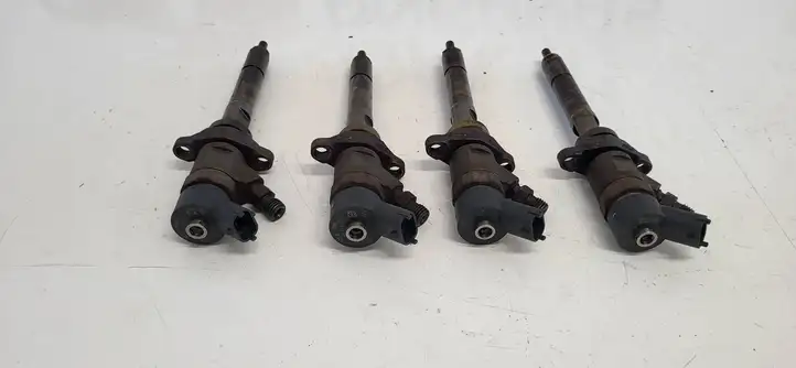 Ford Focus C-MAX (2003 - 2010) B445117859 Комплект жиклеров ГБО — фото 5