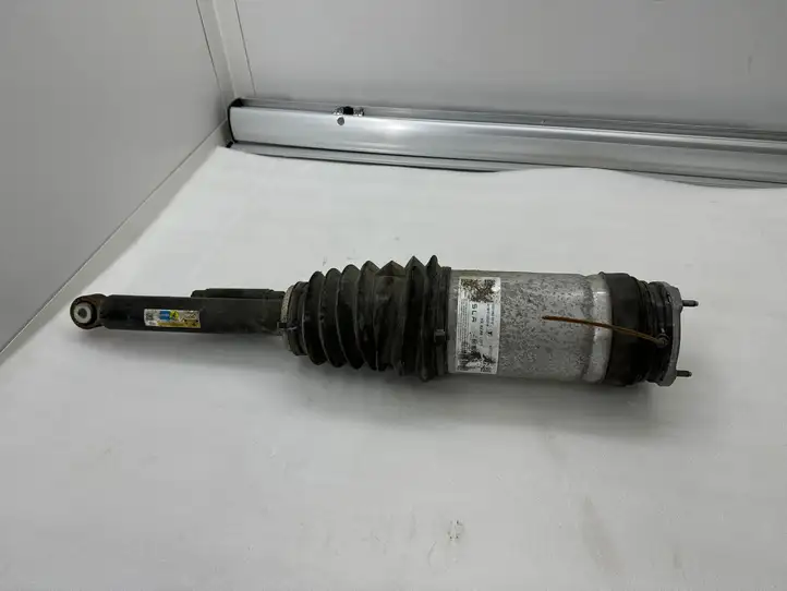Tesla Model X (2015 - 2021) 102706200C Задний амортизатор (пневмоподвеска) — фото 1