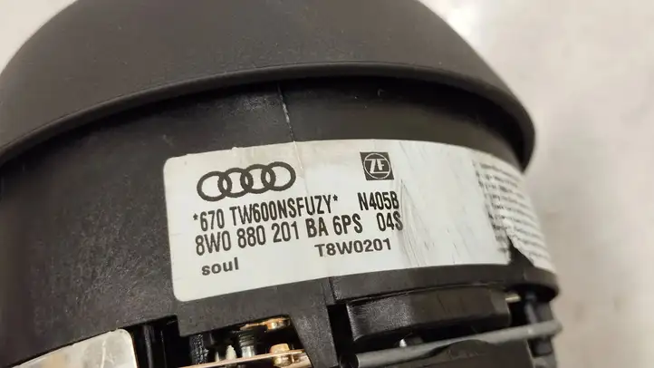 Audi A4 S4 B9 8W (2019 - ) 8w0419091gf Руль — фото 5