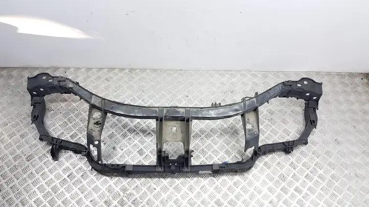 Ford S-MAX (2006 - 2010) Верхняя панель радиатора — фото 1