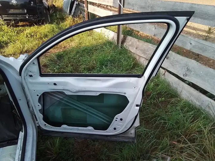 Volkswagen Tiguan (2007 - 2011) Дверь — фото 2