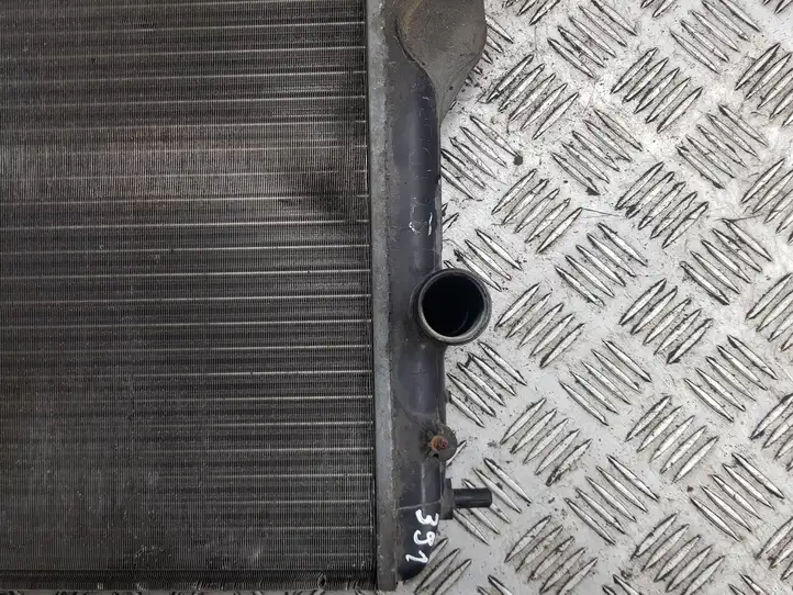 Renault Scenic I (1996 - 2003) Радиатор охлаждающей жидкости двигателя — фото 5