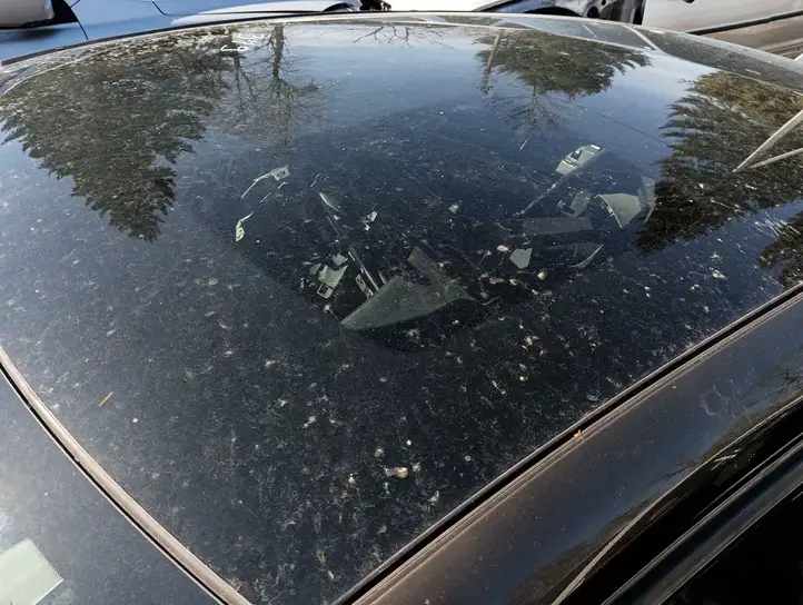 Citroen DS5 (2011 - 2018) Стекло люка — фото 6