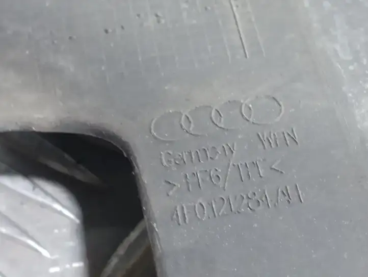 Audi A6 S6 C6 4F (2008 - 2011) 4F0121284 Дефлектор воздуха — фото 3