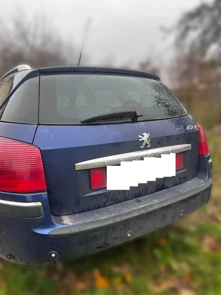 Peugeot 407 (2004 - 2011) Уплотнитель задней двери — фото 2