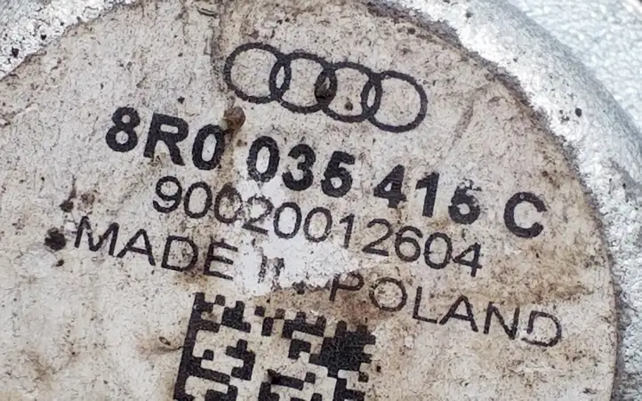 Audi Q5 SQ5 (2008 - 2012) 8R0035415C Динамики передних дверей — фото 4