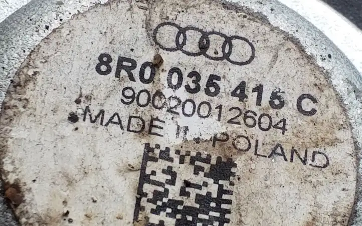 Audi Q5 SQ5 (2008 - 2012) 8R0035415C Динамики передних дверей — фото 4