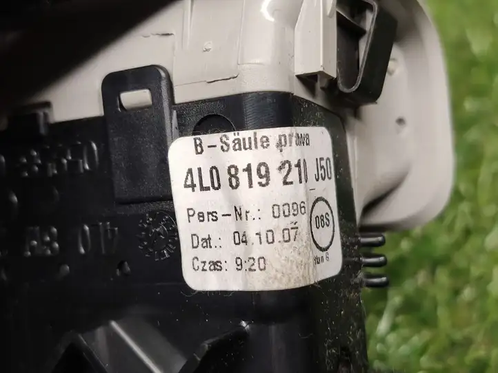 Audi Q7 4L (2005 - 2009) 4L0819210 Боковой воздушный дефлектор — фото 4