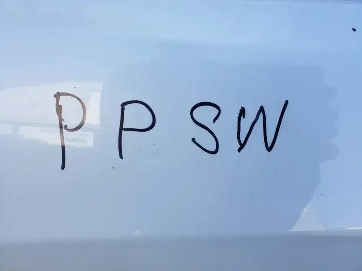 Tesla Model 3 (2017 - 2023) Дверь — фото 2