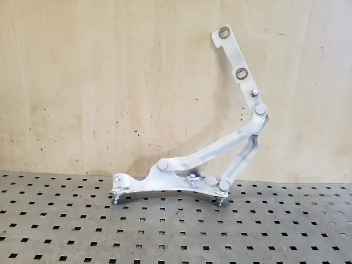 Tesla Model 3 (2017 - 2023) 155148200H Петли крышки багажника — фото 1
