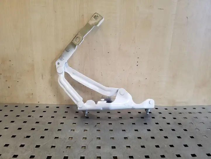 Tesla Model 3 (2017 - 2023) 155148200H Петли крышки багажника — фото 2