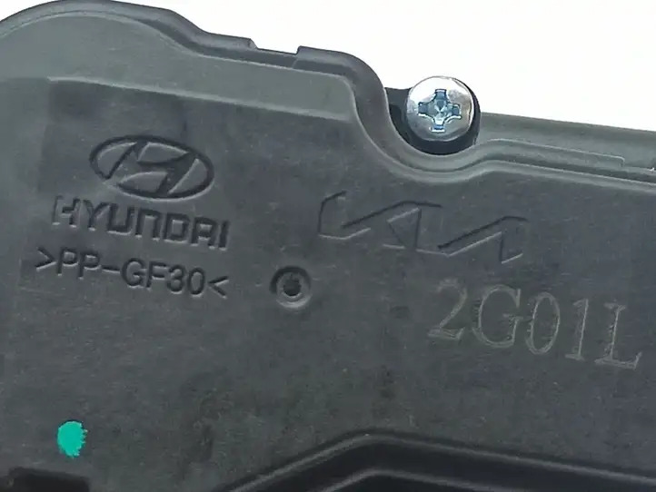 Hyundai Ioniq 5 (2021 - ) P695C0GI010T5R Крышка зарядного разъема — фото 12
