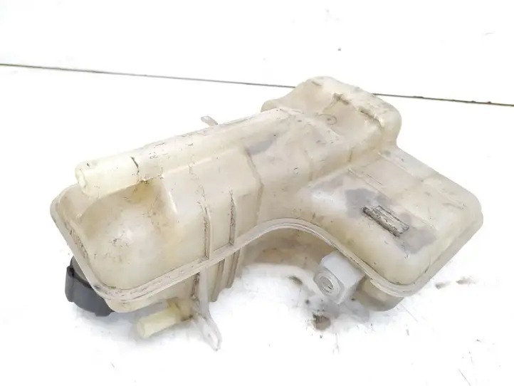 Renault Espace IV (2006 - 2012) 8200544114 Расширительный бачок — фото 5