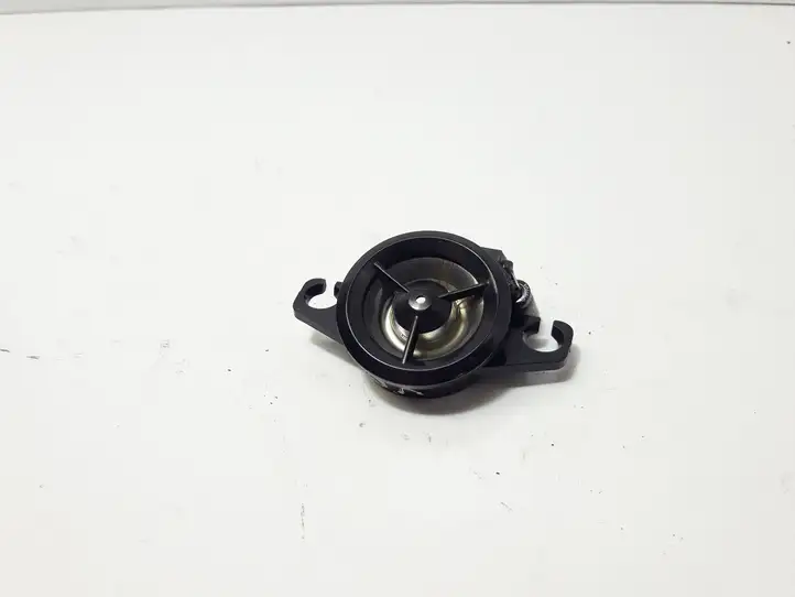 Suzuki SX4 (2009 - 2013) 3910279JB0 Твитер задних дверей — фото 6