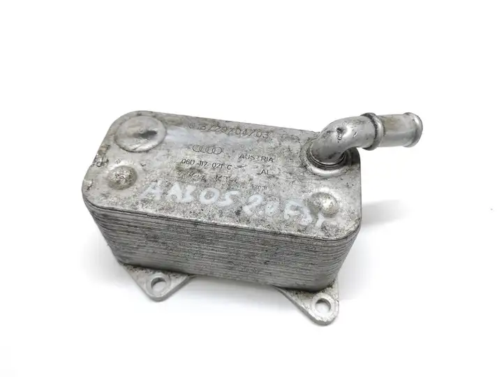 Audi A3/S3 8P (2004 - 2008) 06D117021C Кронштейн масляного фильтра — фото 1