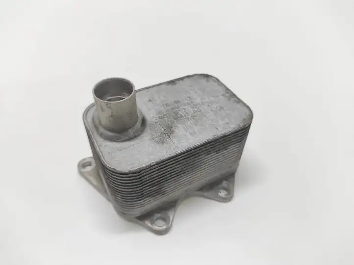 Seat Altea XL (2004 - 2015) 06J117021P Кронштейн масляного фильтра — фото 1