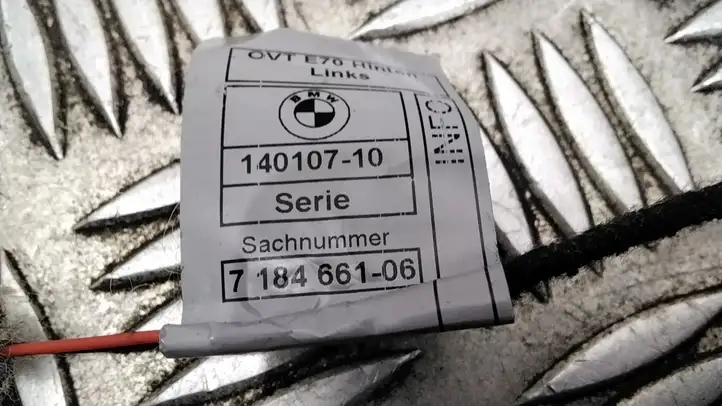 BMW X5 E70 (2006 - 2013) 7184661 Подсветка ручки задней двери — фото 4