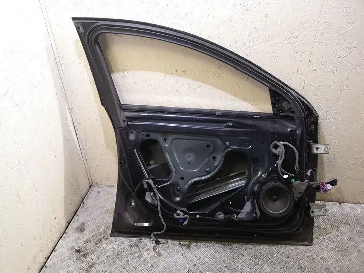 Opel Insignia A (2008 - 2017) Дверь — фото 4