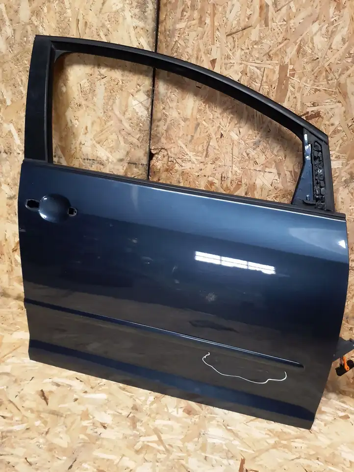 Volkswagen Golf Plus (2004 - 2008) Дверь — фото 1