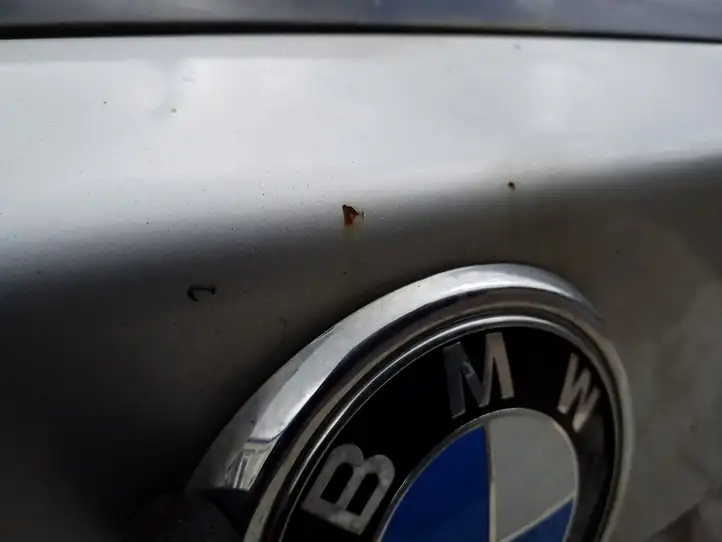 BMW X3 F25 (2010 - 2017) Крышка багажника — фото 5