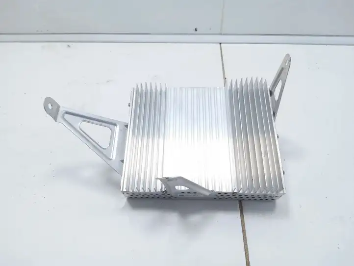 Tesla Model 3 (2017 - 2023) 107974800 Усилитель звука — фото 1