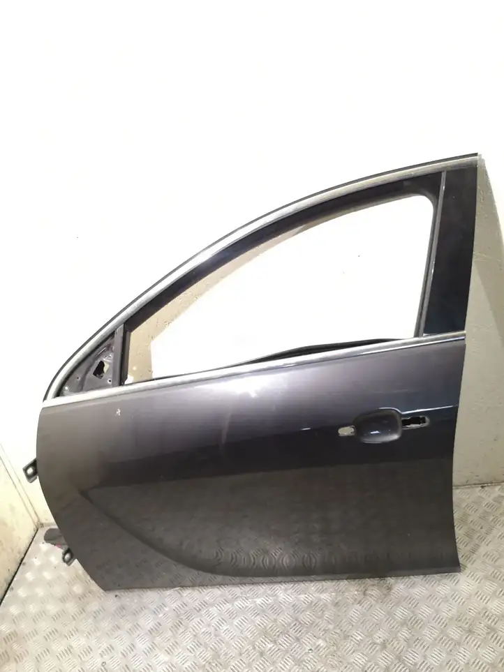 Opel Insignia A (2008 - 2017) Дверь — фото 1