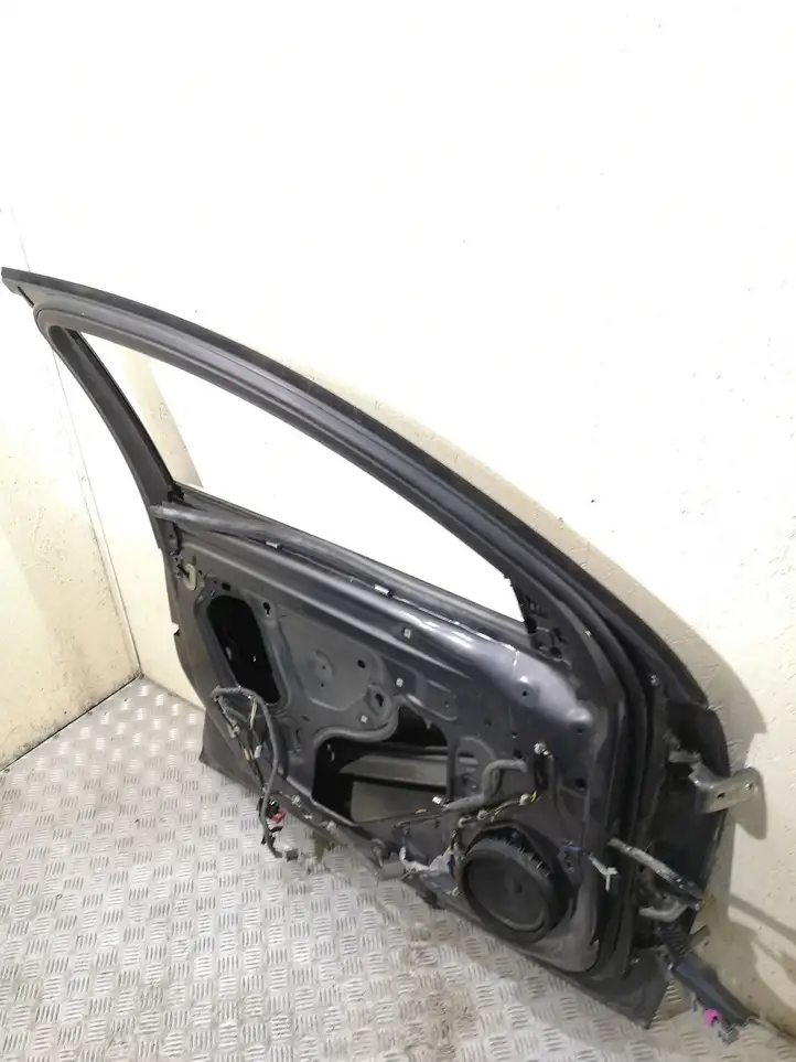 Opel Insignia A (2008 - 2017) Дверь — фото 2