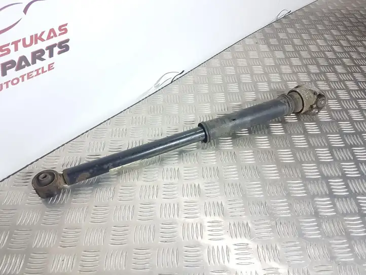 Seat Ibiza IV (6J,6P) (2008 - 2017) 6R0513025G Задний aмортизатор — фото 1