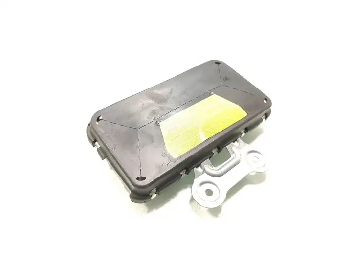 Land Rover Range Rover L322 (2005 - 2009) 30319843A Подушка безопасности двери — фото 1