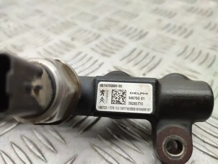 Ford Kuga II (2013 - 2019) 9674300080 Комплект системы впрыска — фото 32