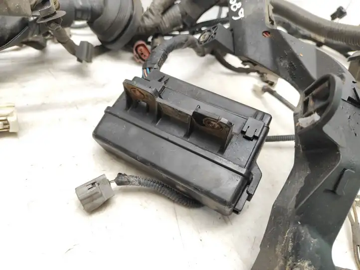 Toyota Avensis T250 (2003 - 2006) Проводка двигателя — фото 7