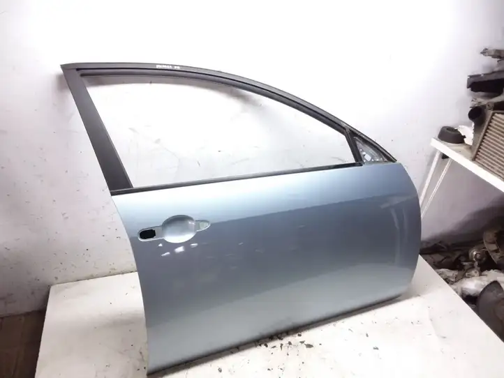 Nissan Primera (2001 - 2008) Дверь — фото 1