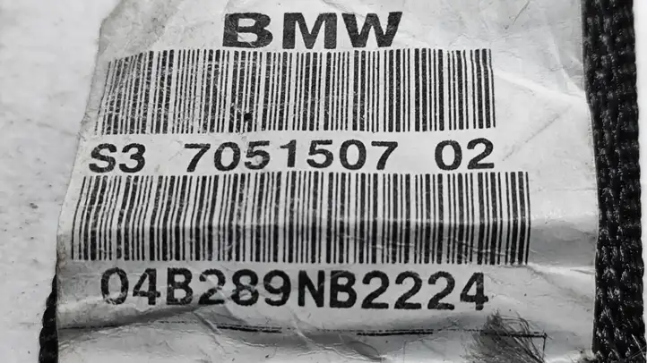BMW X5 E53 (1999 - 2006) 7051507 Задний ремень безопасности — фото 2