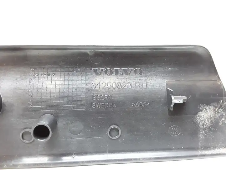 Volvo XC70 (2007 - 2013) 31250823 Внутренняя отделка переднего порога — фото 3