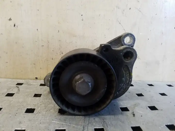 Renault Trafic II (X83) (2002 - 2014) 117507568R Натяжитель ремня — фото 1