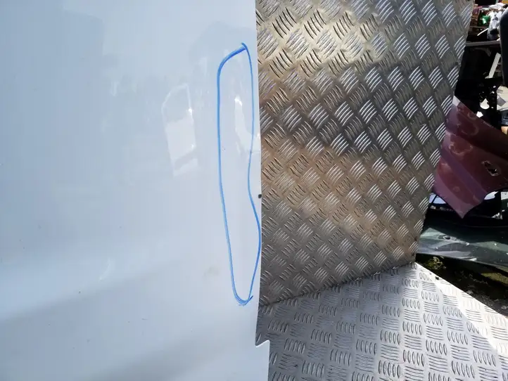 Ford Transit - Tourneo Connect (2009 - 2017) Багажная дверь — фото 6