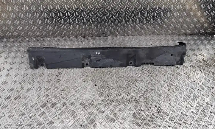 Ford Transit - Tourneo Connect (2009 - 2017) DT11R10258A Наружная отделка переднего порога — фото 1