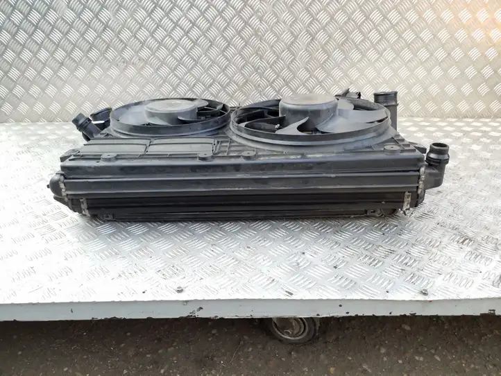Audi TT TTS Mk2 (2010 - 2014) 1K0121251AB Комплект радиаторов охлаждения — фото 2