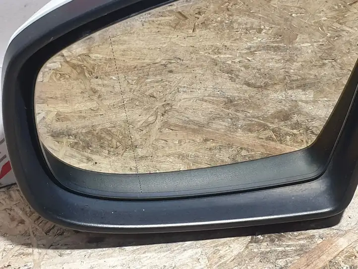 BMW X6 E71 (2008 - 2014) 7282781 Боковое зеркало с электроприводом — фото 6