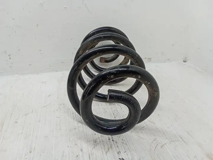 Nissan Qashqai (2010 - 2013) Пружина задней подвески — фото 2