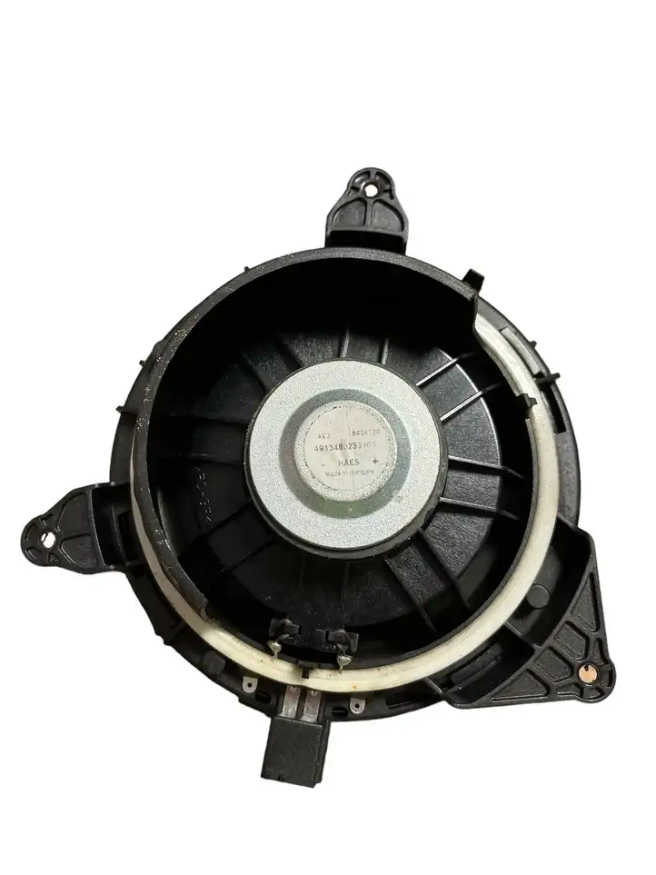Volvo S80 (2004 - 2006) 30679498 Динамики задних дверей — фото 2
