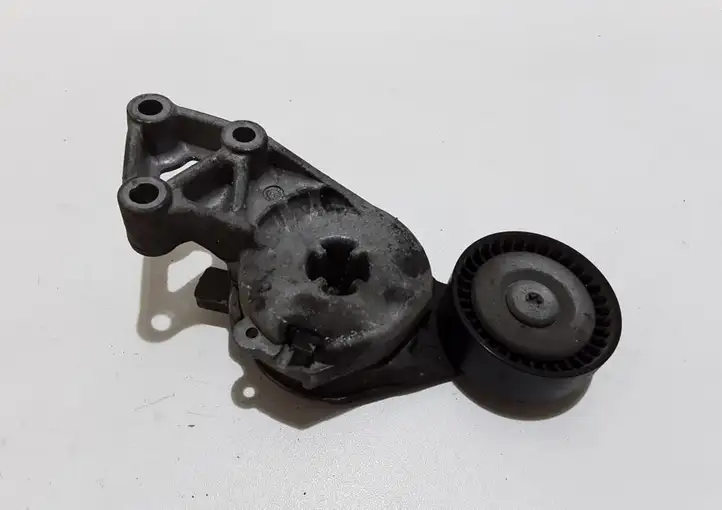 Volkswagen Touran I (2003 - 2010) 414010855 Натяжитель ремня ГРМ — фото 4