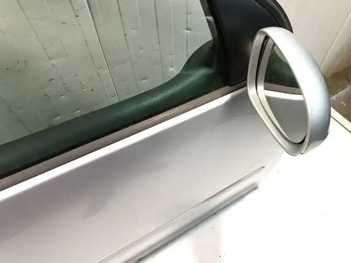 Volkswagen Golf V (2003 - 2009) Дверь — фото 3